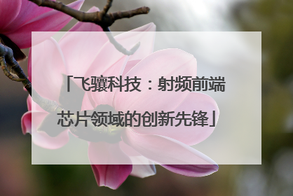 飞骧科技：射频前端芯片领域的创新先锋